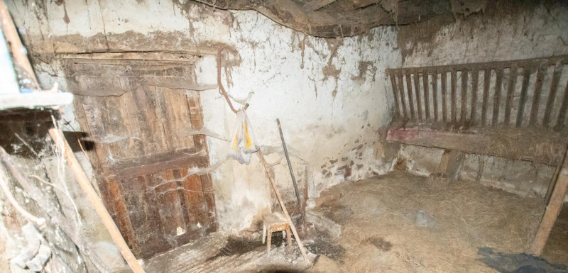 Casa para reformar con cuadra, fincas rústicas y monte de eucaliptos.