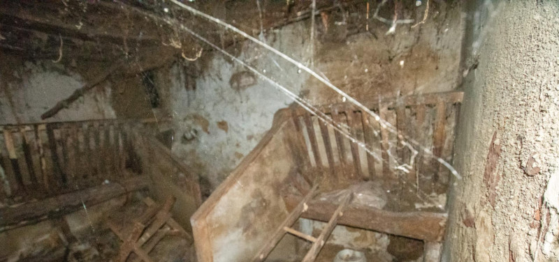 Casa para reformar con cuadra, fincas rústicas y monte de eucaliptos.