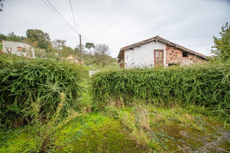 Casa para reformar con cuadra, fincas rústicas y monte de eucaliptos.