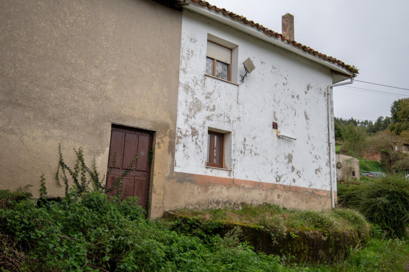 Casa para reformar con cuadra, fincas rústicas y monte de eucaliptos.
