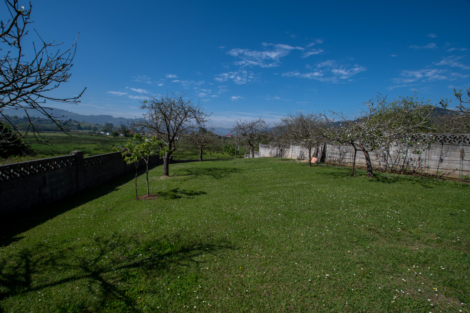 Casas o chalets-Venta-Villaviciosa-1091544-Foto-89