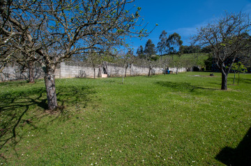 Casas o chalets-Venta-Villaviciosa-1091544-Foto-90-Carrousel