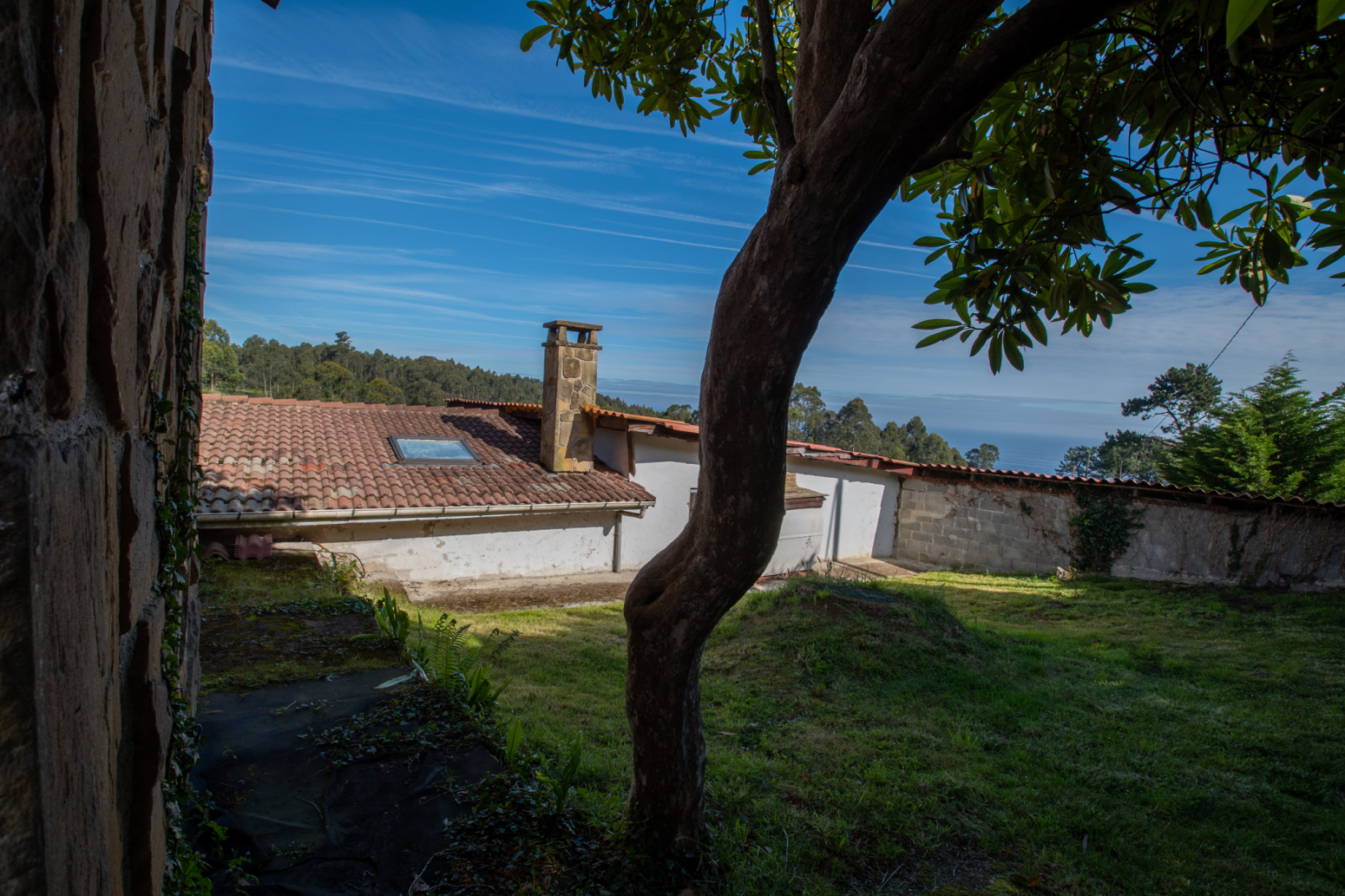 Casas o chalets-Venta-Villaviciosa-1099775-Foto-101