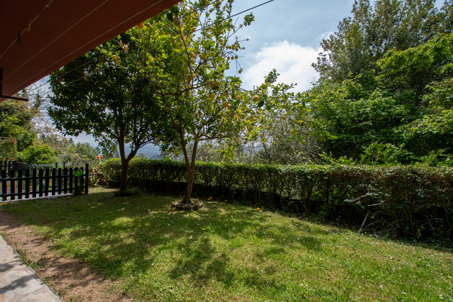 Casas o chalets-Venta-Colunga-1102031-Foto-4