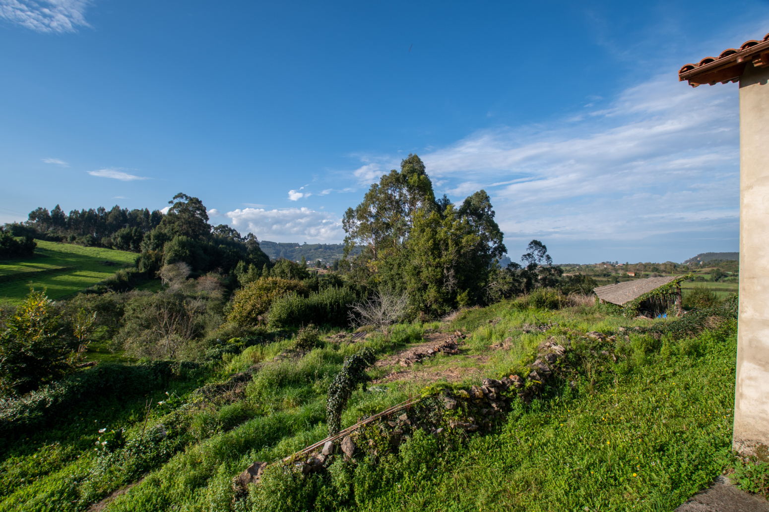 Casas o chalets-Venta-Villaviciosa-1460312-Foto-35