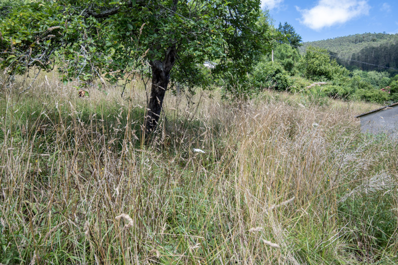 Casas o chalets-Venta-Villaviciosa-2354822-Foto-16