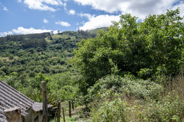 Casas o chalets-Venta-Villaviciosa-2354822-Foto-8-Carrousel