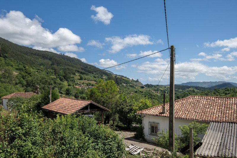Casas o chalets-Venta-Villaviciosa-2354822-Foto-42