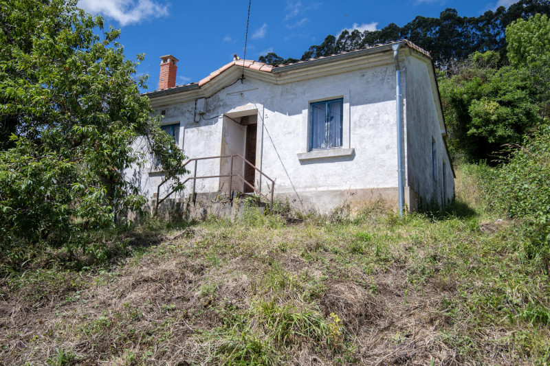 Casas o chalets-Venta-Villaviciosa-2354822-Foto-7