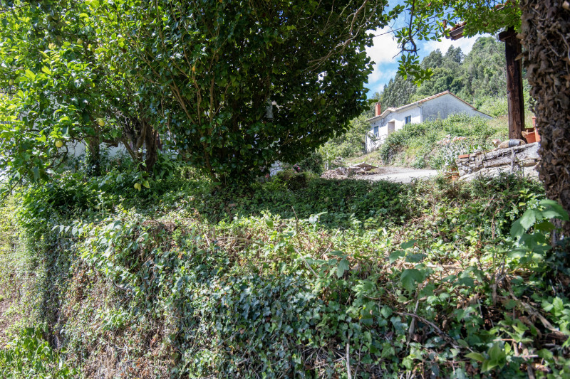 Casas o chalets-Venta-Villaviciosa-2354822-Foto-4