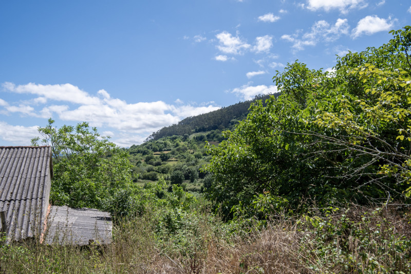 Casas o chalets-Venta-Villaviciosa-2354822-Foto-43