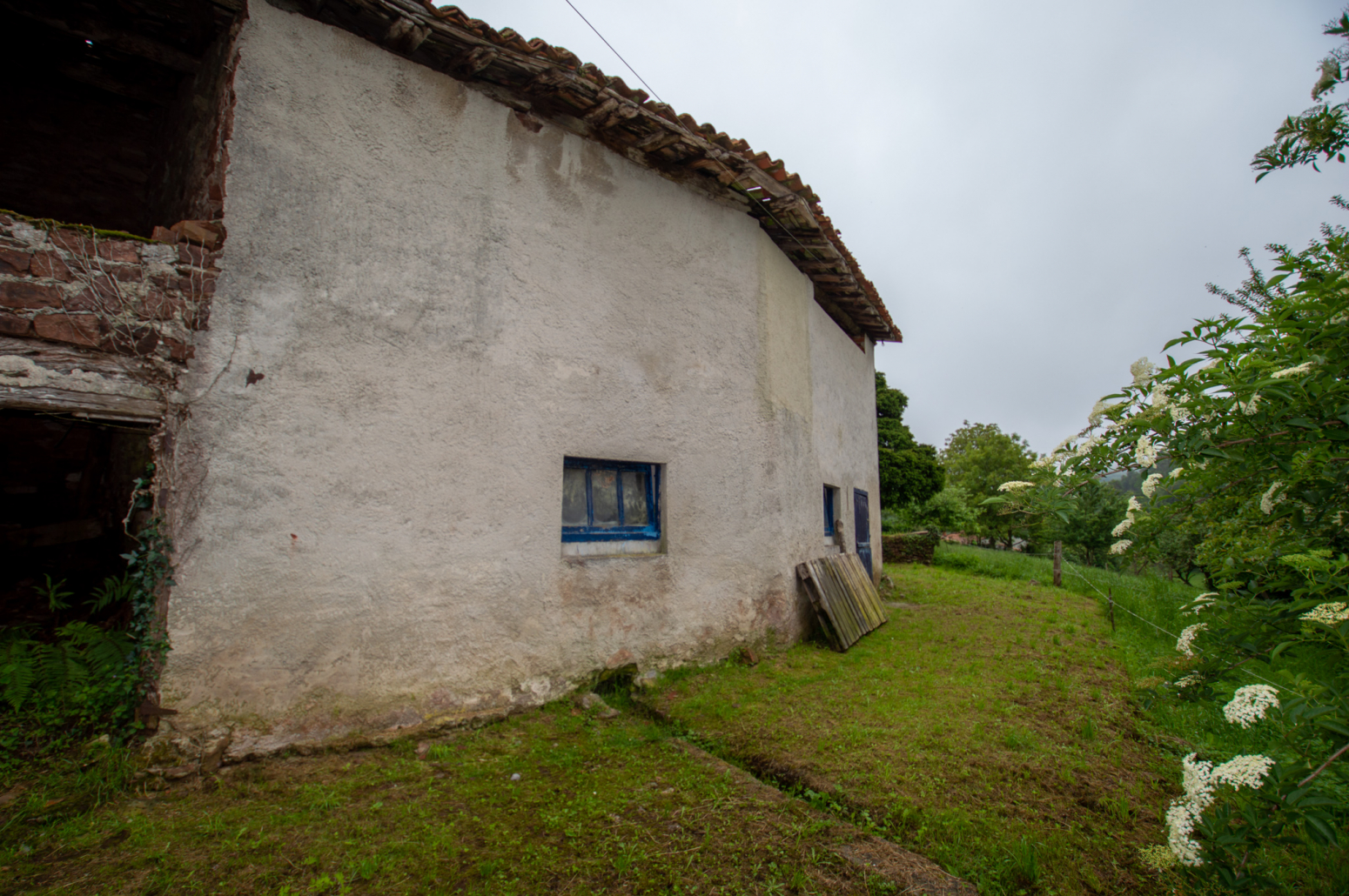 Casas o chalets-Venta-Villaviciosa-566020-Foto-8