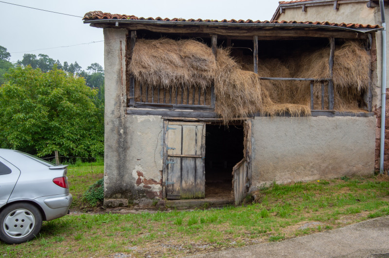 Cuadras y Finca en el Concejo de Villaviciosa, Asturias