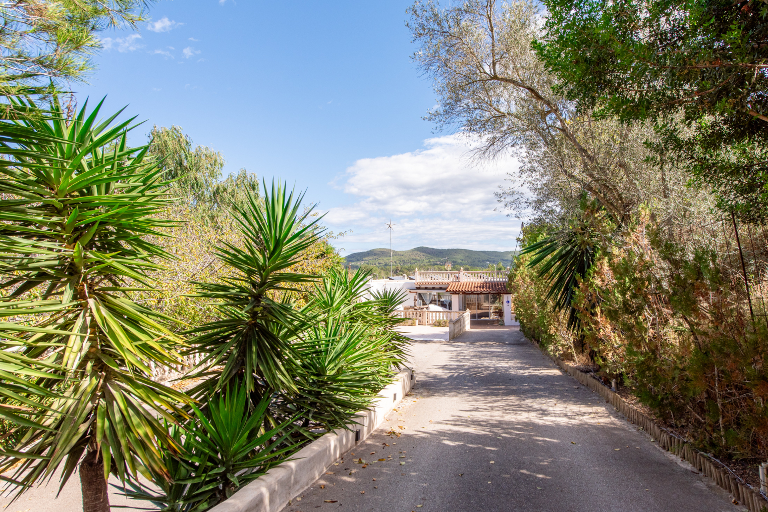 Casas o chalets-Venta-Sant Joan de Labritja-1419805-Foto-56