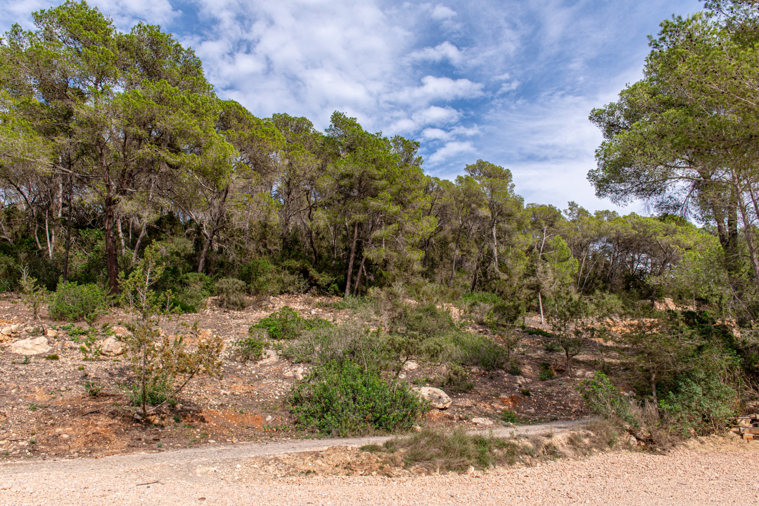 Casas o chalets-Venta-Santa Eulalia del RÃ­o-1432191-Foto-41