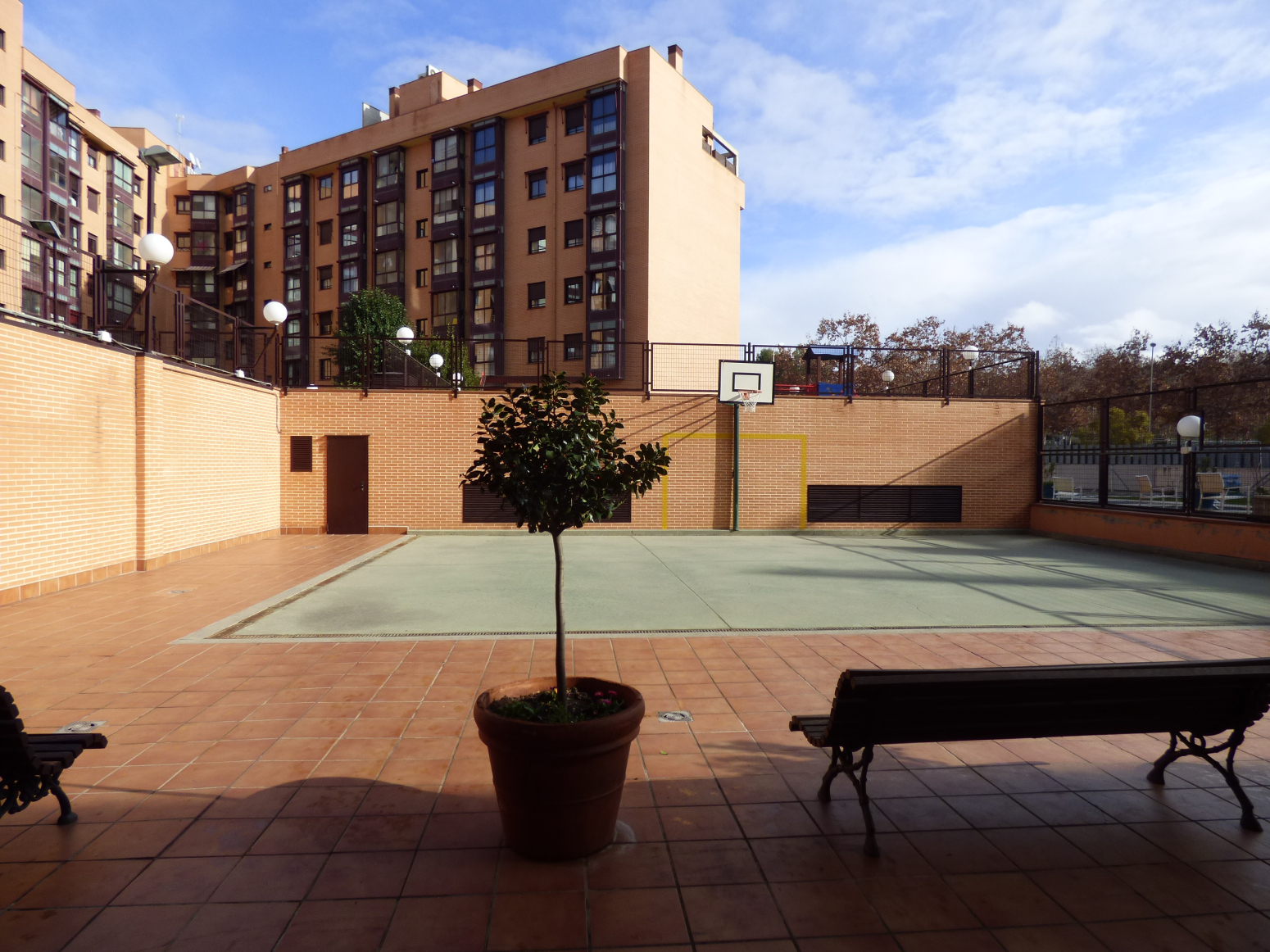 Pisos-Alquiler-Madrid-380550-Foto-26