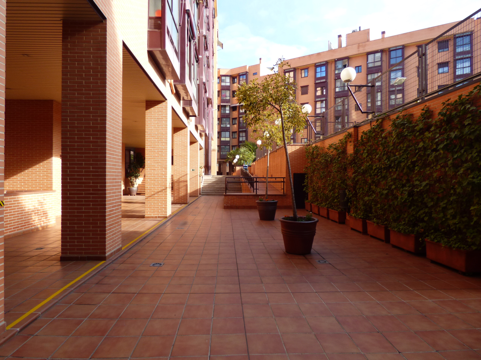 Pisos-Alquiler-Madrid-380550-Foto-30