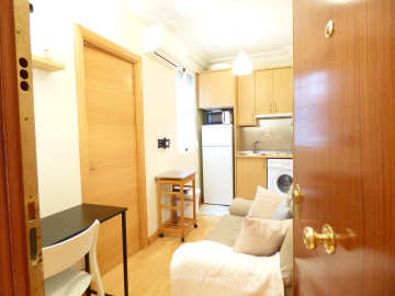 Pisos-Alquiler-Madrid-459918