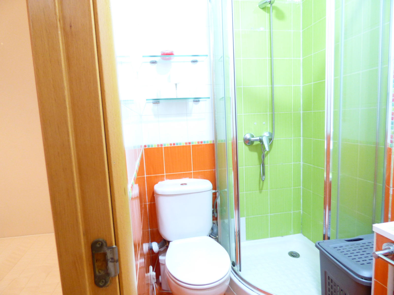 Pisos-Alquiler-Madrid-459918-Foto-58