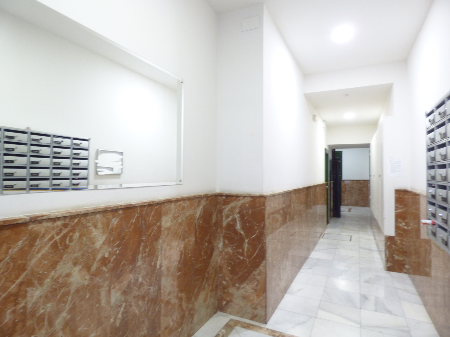 Pisos-Alquiler-Madrid-459918-Foto-42