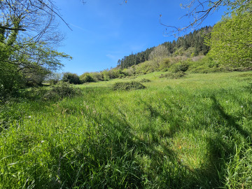 Parcela