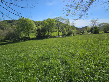 Parcela