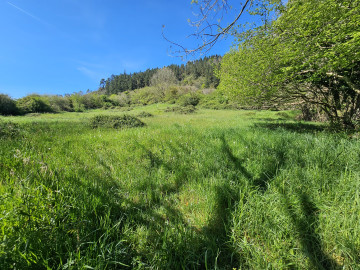 Parcela