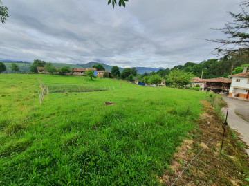 Finca