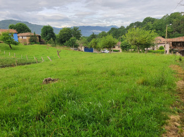Finca