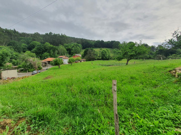 Finca