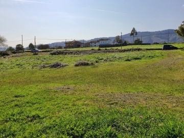 Fincas y solares en Venta en PiloÃ±a Ref 2495 Foto 1-Carrousel