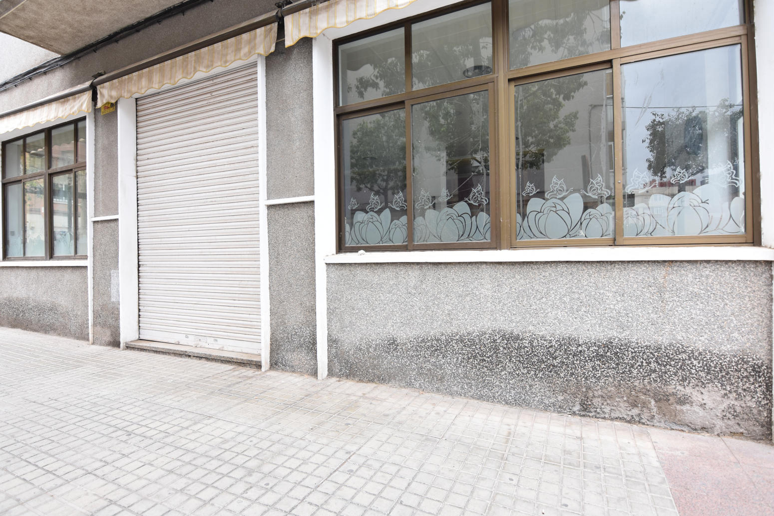 Negocios-Venta-Elche-1061167-Foto-8