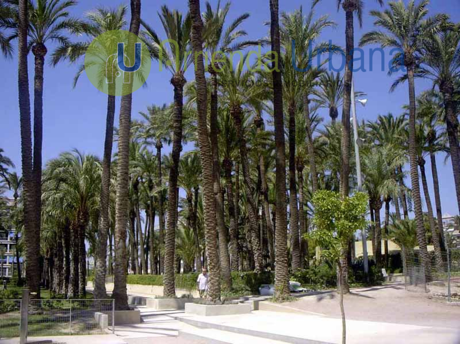 Locales-Venta-Santa Pola-1398408-Foto-33