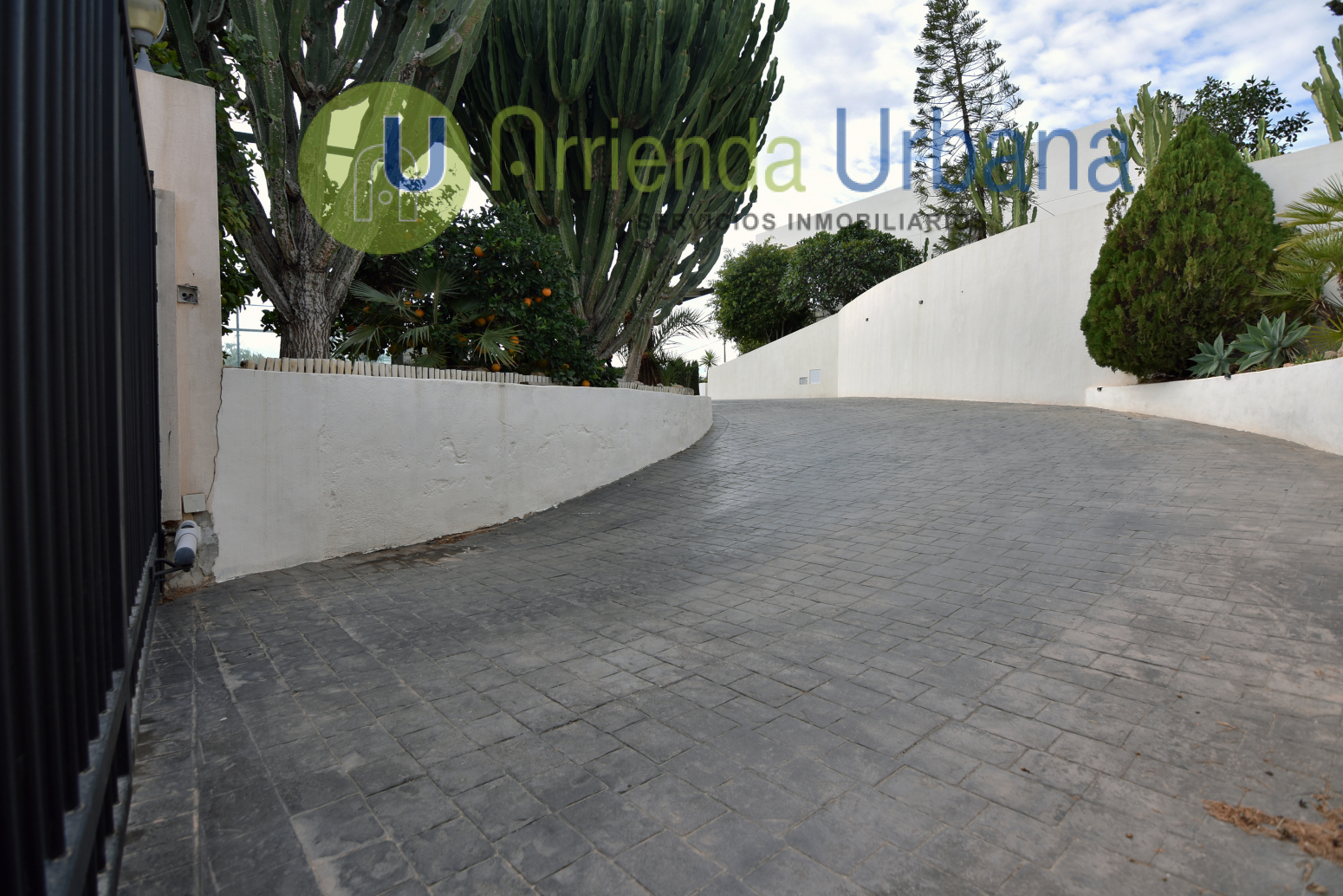 Casas o chalets-Venta-Elche-1502285-Foto-3