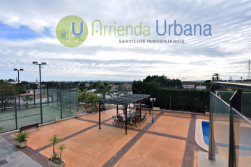 Casas o chalets-Venta-Elche-1502285-Foto-117-Carrousel