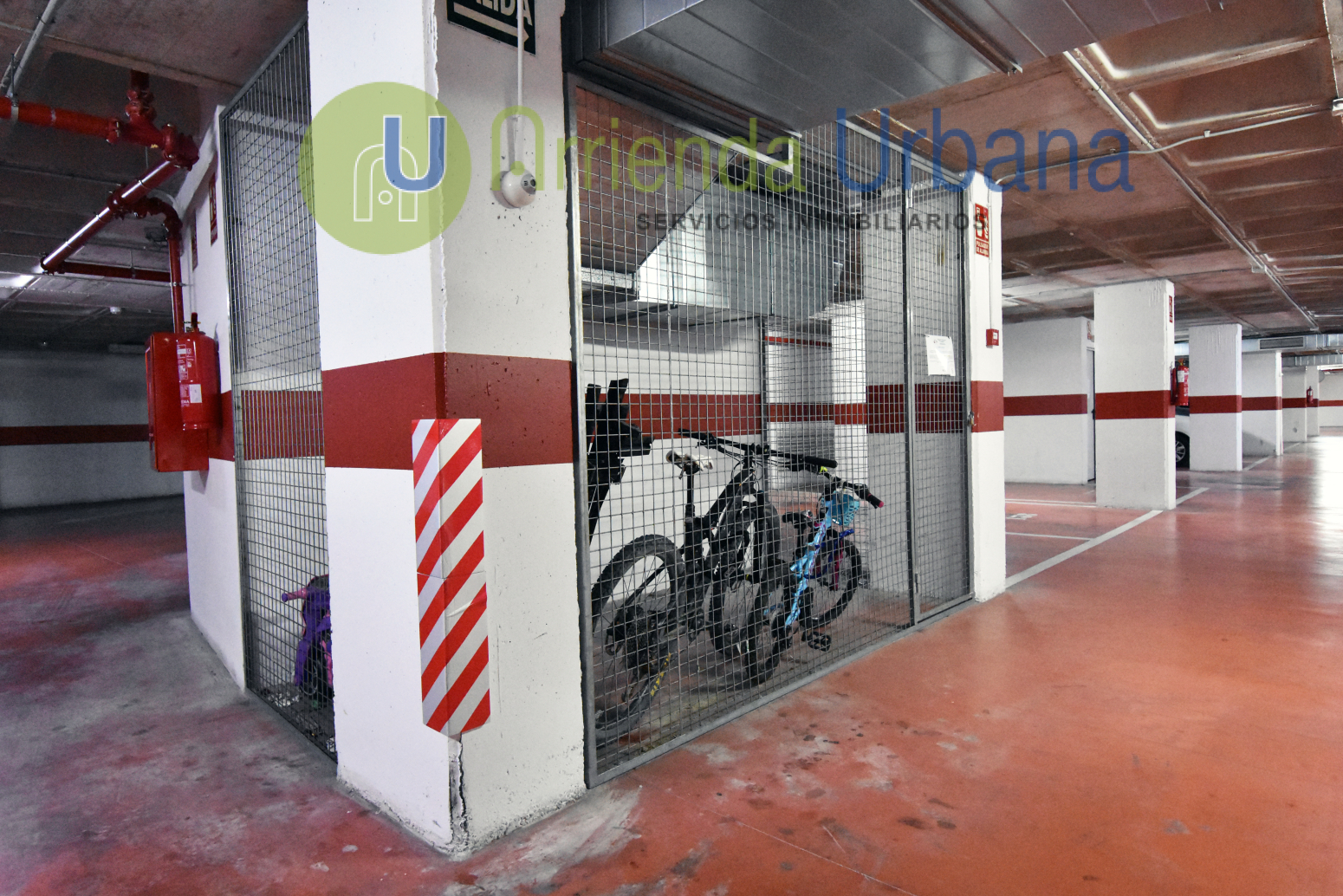 Pisos-Venta-Elche-1520209-Foto-50