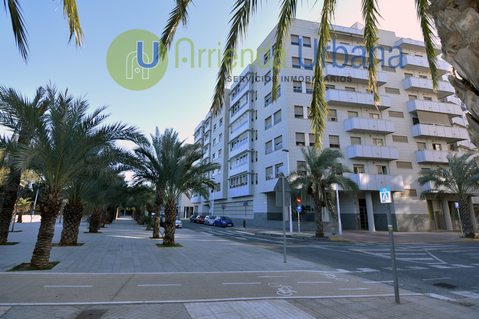 Pisos-Venta-Elche-1520209-Foto-54