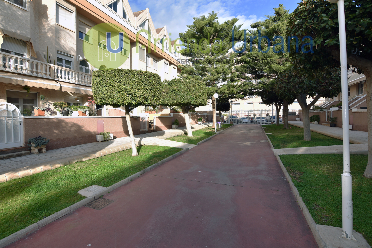 Casas o chalets-Venta-Elche-1559445-Foto-6