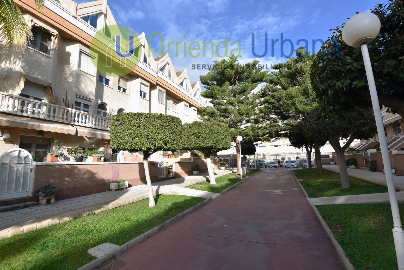 Casas o chalets-Venta-Elche-1559445-Foto-4