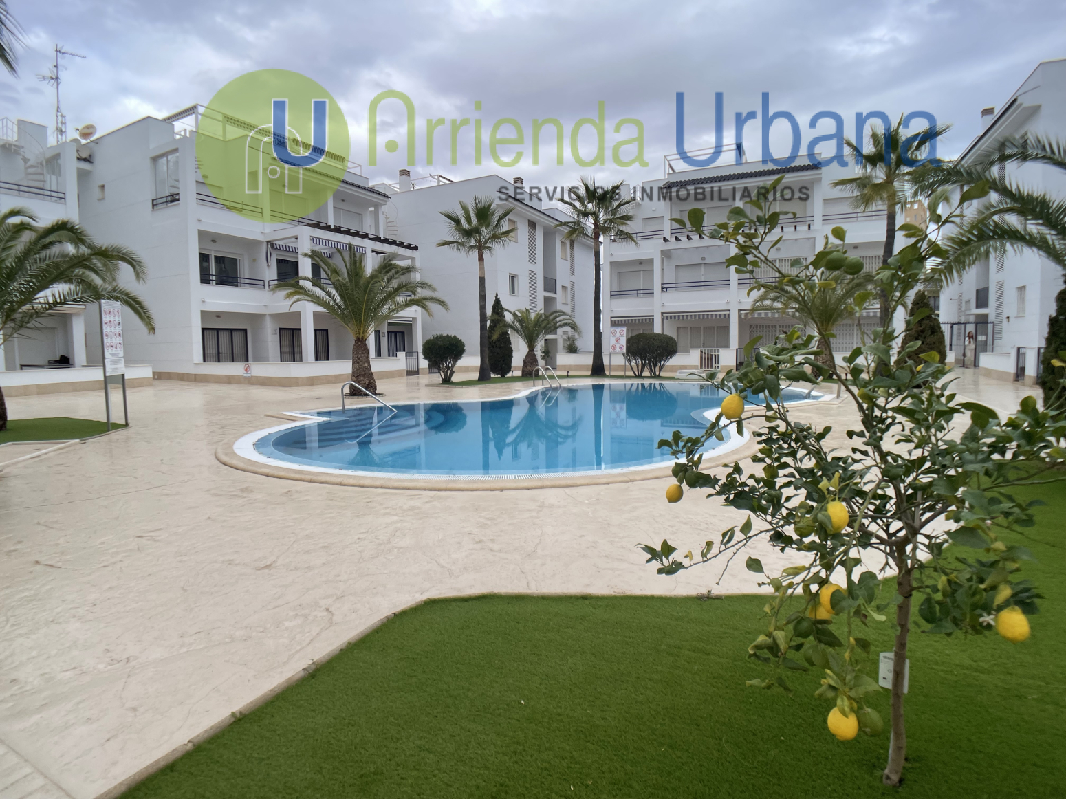 Pisos-Alquiler-Torrevieja-1584170-Foto-24