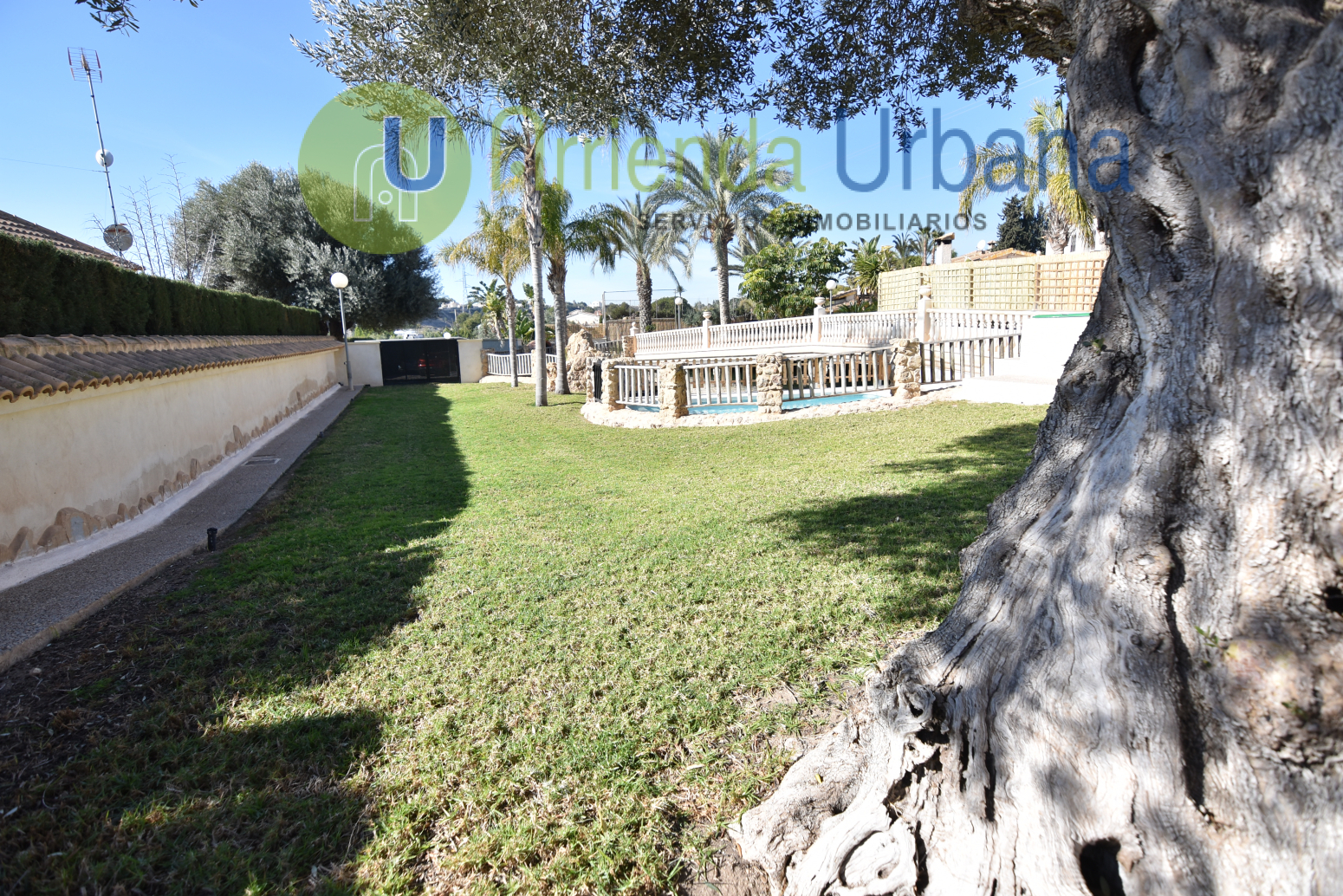 Casas o chalets-Alquiler-Elche-1640823-Foto-13