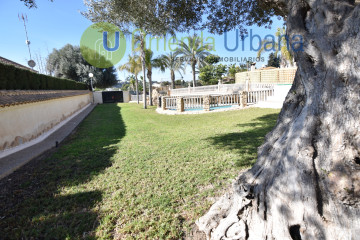 Casas o chalets-Alquiler-Elche-1640823-Foto-12-Carrousel