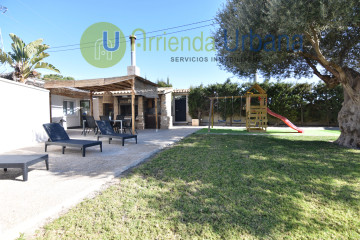 Casas o chalets-Alquiler-Elche-1640823-Foto-1-Carrousel