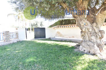 Casas o chalets-Alquiler-Elche-1640823-Foto-8-Carrousel