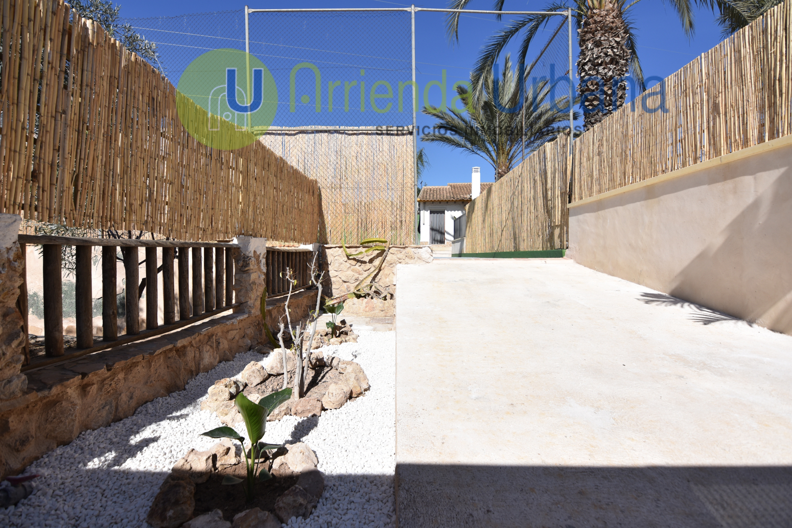 Casas o chalets-Alquiler-Elche-1640826-Foto-12