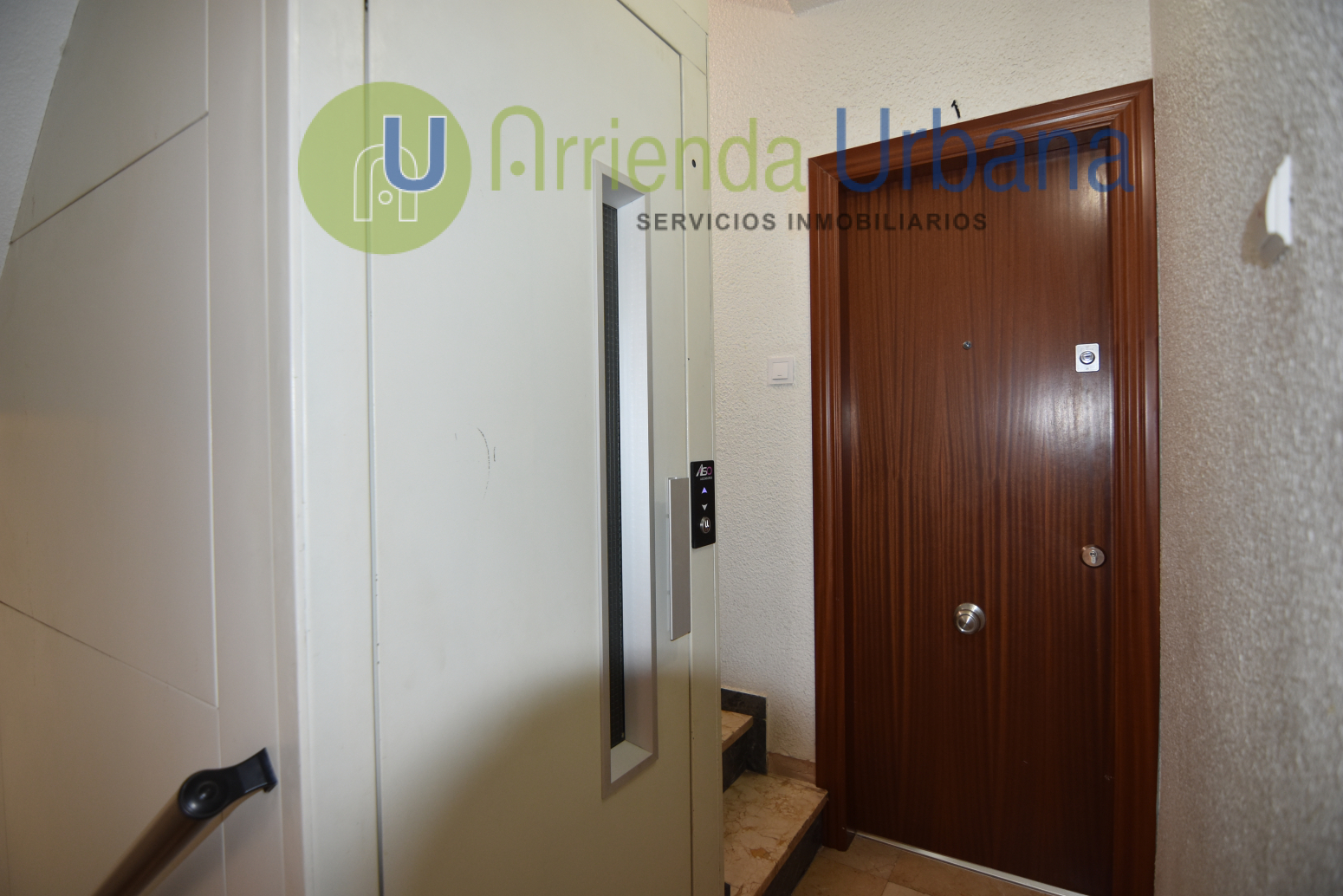Pisos-Alquiler-Elche-1721010-Foto-6