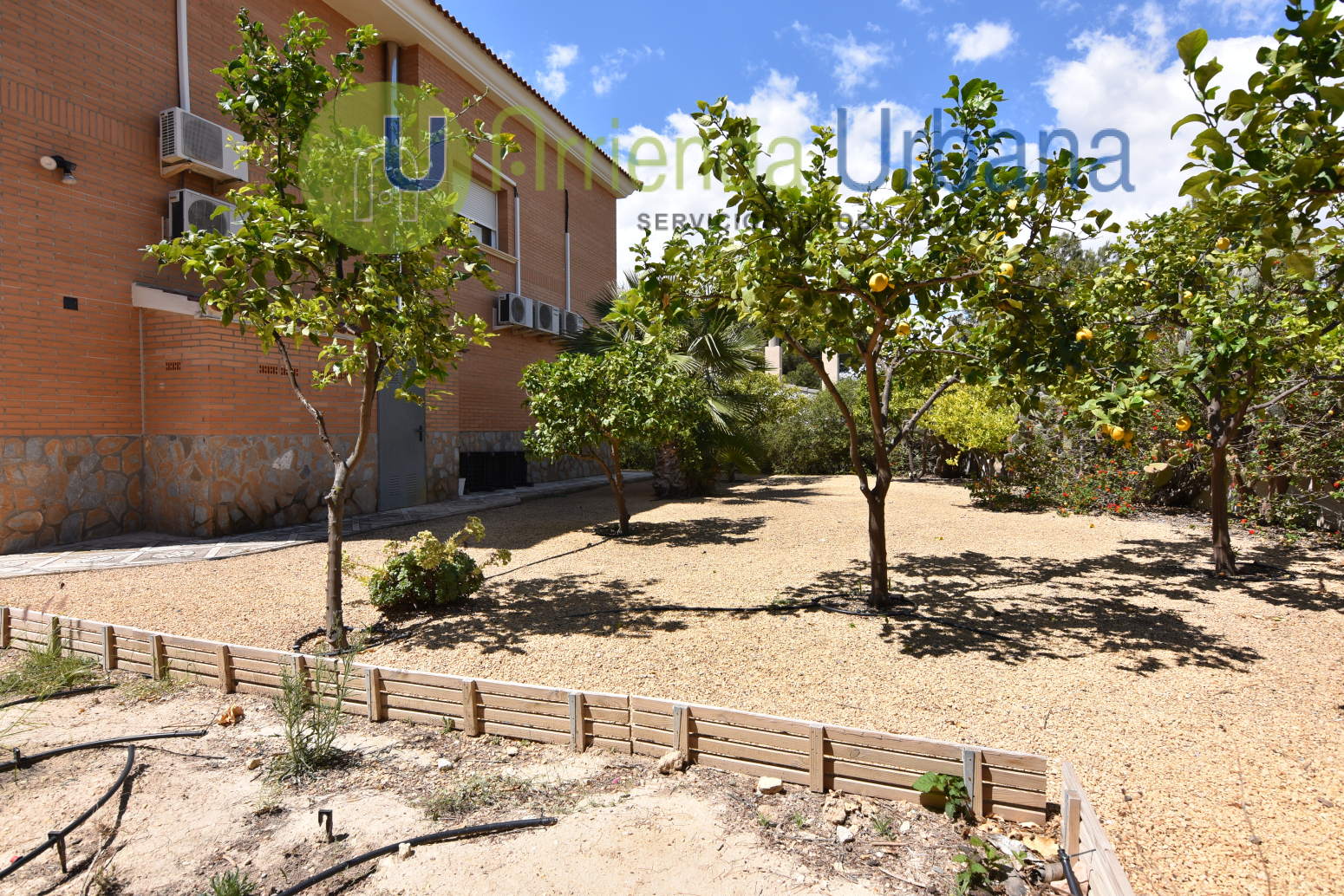 Casas o chalets-Venta-San Vicente del Raspeig-1721041-Foto-99