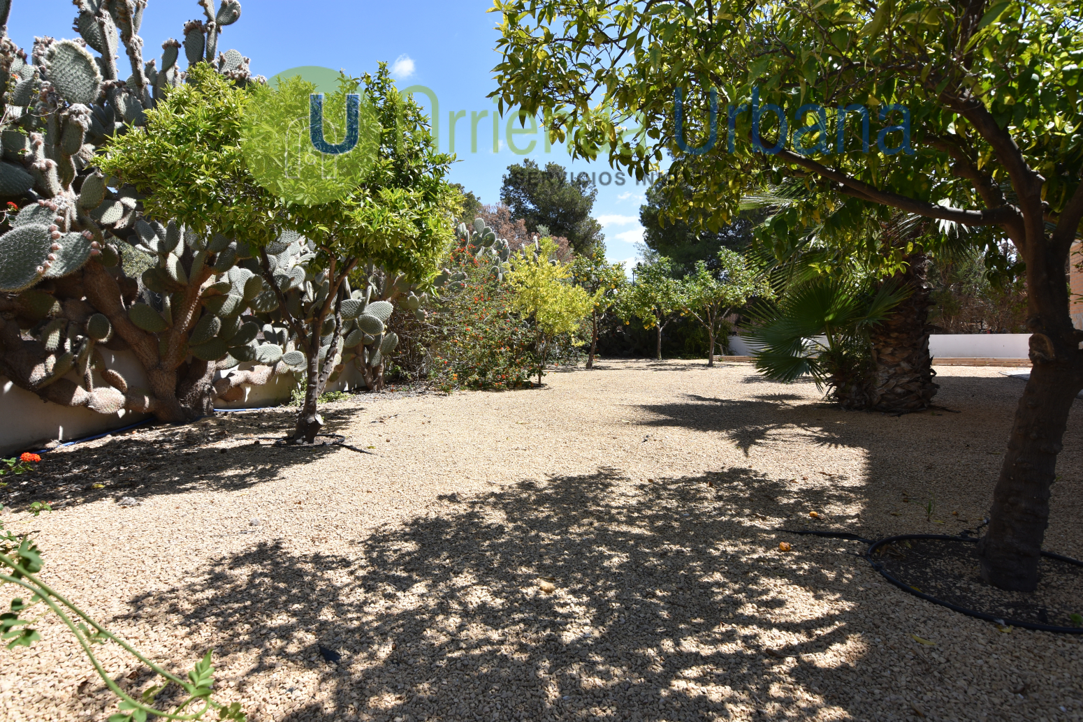 Casas o chalets-Venta-San Vicente del Raspeig-1721041-Foto-102