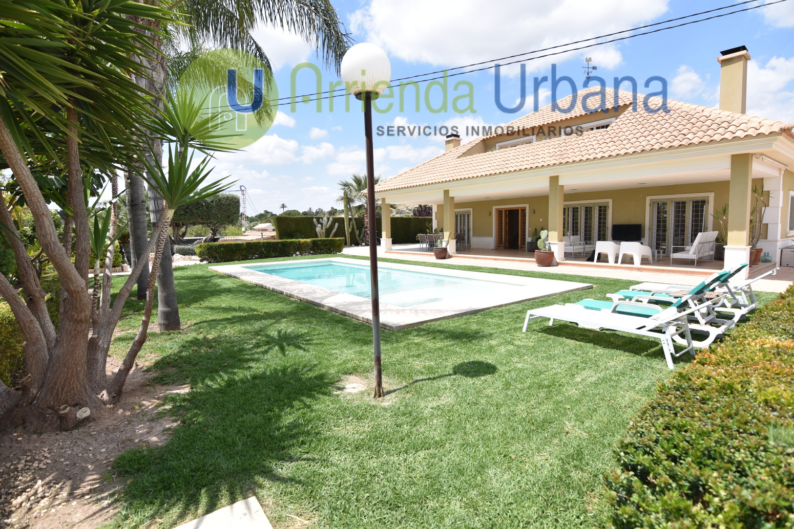 Casas o chalets-Alquiler-Elche-1722736-Foto-53