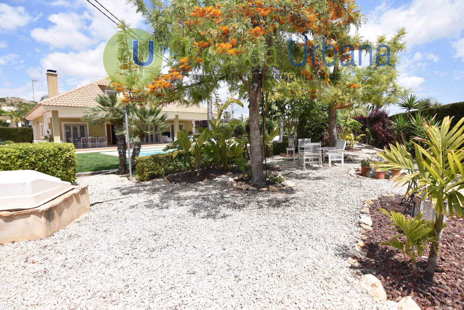 Casas o chalets-Alquiler-Elche-1722736-Foto-46